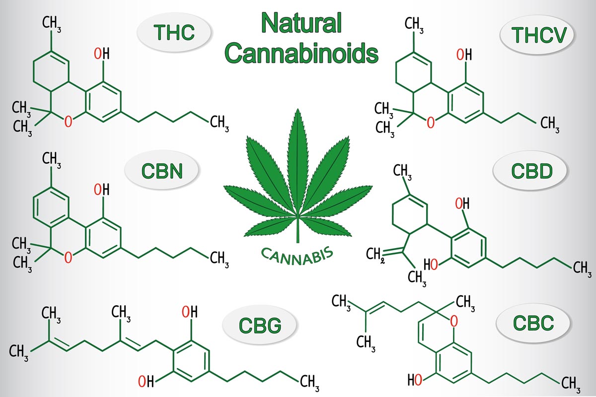 Mysteries Of The CB2 Receptor - CBD Health And Wellness