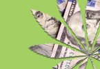Biggest CBD Players in the US