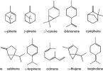 Terpenes