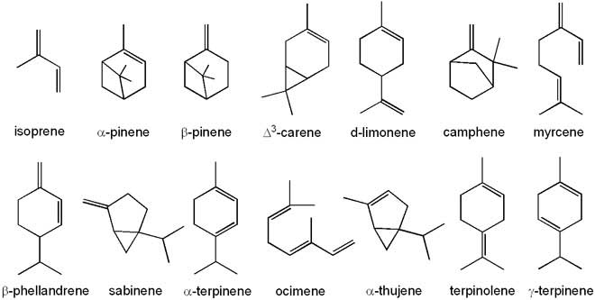 Terpenes