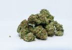 cannabis legalization curbs