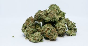 cannabis legalization curbs