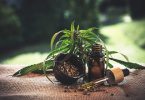 CBD-infused food and beverages