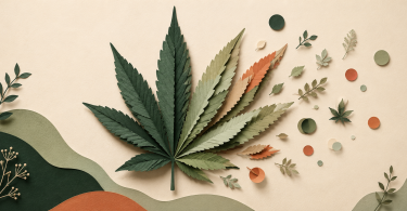 full spectrum vs broad vs isolate cbd