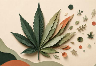 full spectrum vs broad vs isolate cbd