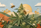 hemp and bees