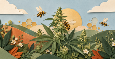 hemp and bees