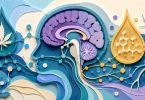 cb1 receptors