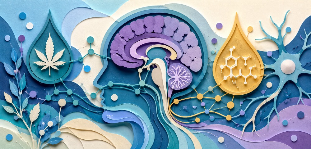 cb1 receptors
