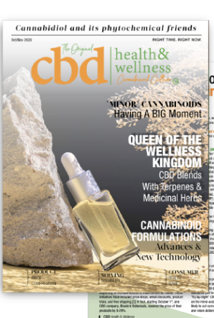 Issue 10 cover