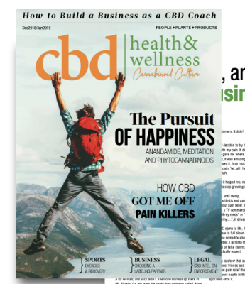 Issue 2 cover