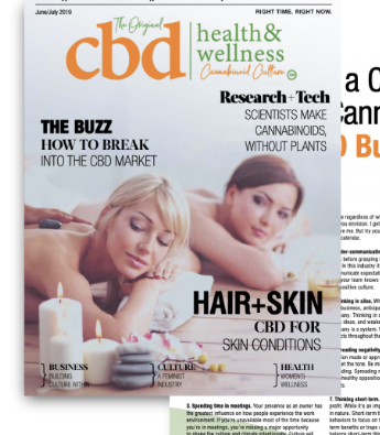 Issue 4 cover