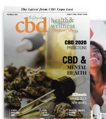Issue 6 cover